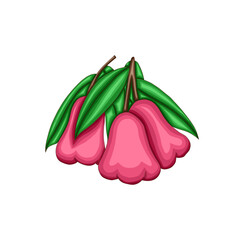 a bunch of syzygium or rose apple. 