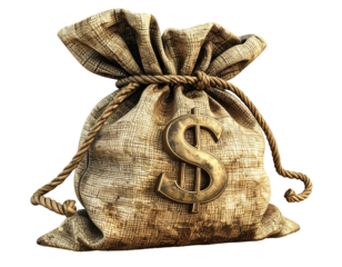 Vintage money bag