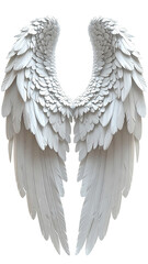 Fototapeta premium Pair of symmetrical white angel wings (5)