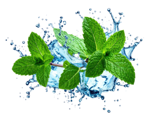 Fresh mint leaves in water splashes