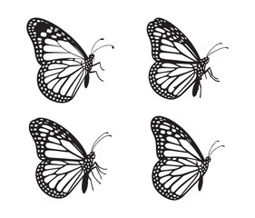 Elegant Insect Silhouette Graphic Design Elements. Butterfly Silhouette Side View Vector Set