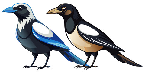 Fototapeta premium Two beautifully colored magpies standing side by side on a white background
