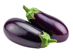 Two dark purple eggplants