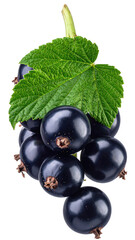 Close-up of black currants, bunch with leaf