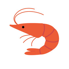 シンプルなエビのイラスト　かわいい,ポップ,イラスト,おせち,生き物,素材,海,食べ物