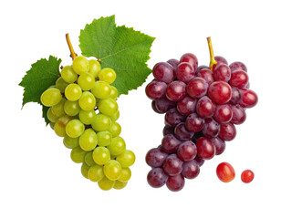 Fototapeta premium Two bunches of grapes, one green and one red, with leaves