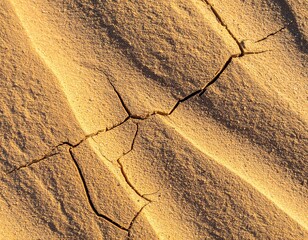 Close-up of parched desert sand with intricate cracks and ripples, bathed in golden light, showcasing the harsh beauty of arid landscapes and the effects of natural erosion
