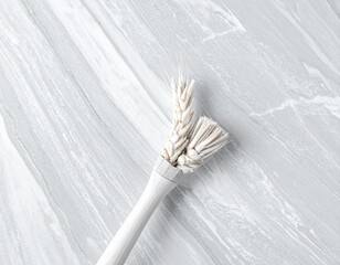 Close-up View of a White Cleaning Brush on a Gray Marble Background Cleaning Tool