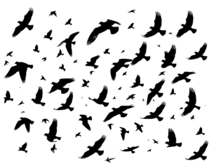 Abstract digital noise