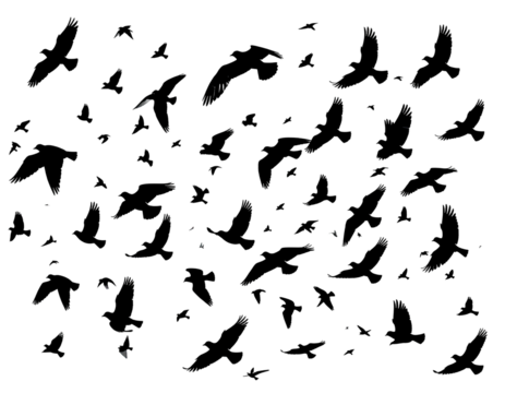 Abstract digital noise