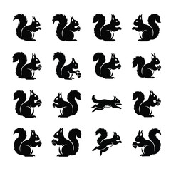 Fototapeta premium Collection of squirrel silhouettes in various poses