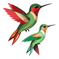 Obraz premium Two Vector Illustration Hummingbirds Depicting Different Species in Flight and Perched