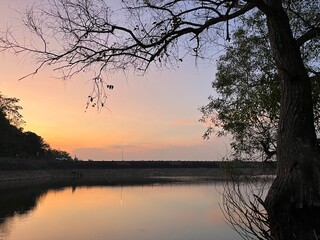Silhouetted tree by calm lake reflecting colorful sunset sky, creating a tranquil and scenic evening tropical view.