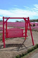 花ひろば、松葉ボタンとブランコ