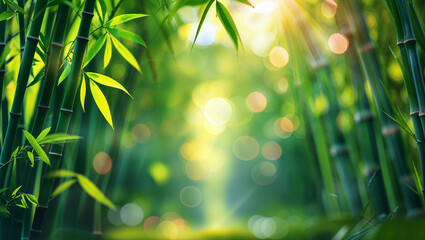 Green bamboo forest landscape with fresh bamboo trees and blurred backdrop
