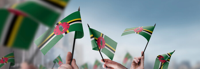 Dominica Flags Their Hands Blurred