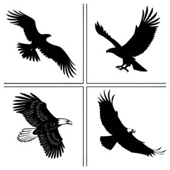 Four eagle silhouettes, showcasing various poses of these majestic birds in flight and perched, rendered in high contrast black and white for graphic appeal