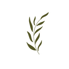 Elegant Green Leaf Vector for Wedding and Digital Invitation Design