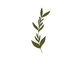 Elegant Green Leaf Vector for Wedding and Digital Invitation Design