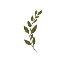 Elegant Green Leaf Vector for Wedding and Digital Invitation Design