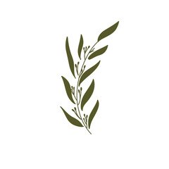 Elegant Green Leaf Vector for Wedding and Digital Invitation Design