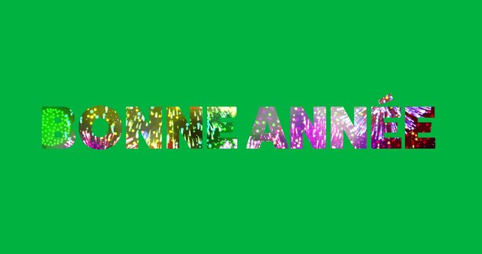 Animation of fireworks bonne annee text over black background
