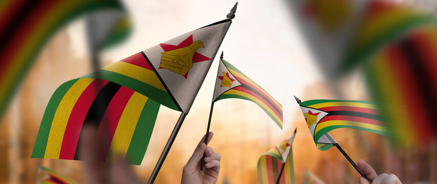Zimbabwe flags in their hands on a blurred urban background