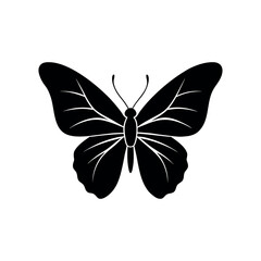 vector art of a butterfly