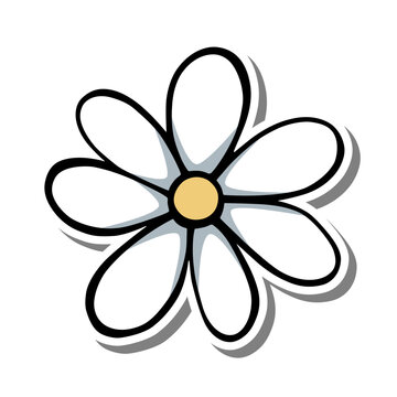 Minimal daisy flower illustration with clean lines and soft shadows. Perfect for spring themes, botanical designs, and educational or decorative use.