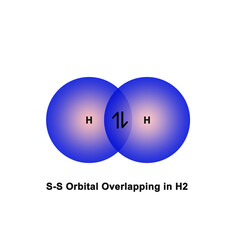 S-S orbital overlapping in Hydrogen Molecule
