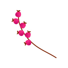 A single sprig with bright pink berries, isolated on a white background, symbolizing nature's bounty