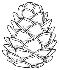 Pinecone line drawing illustration in black and white outline