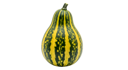 A pearshaped gourd with green and yellow stripes, isolated on transparent background, showcasing its unique pattern and texture, perfect for fall decor