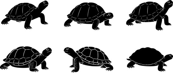 Set of silhouette turtles in various poses on white background