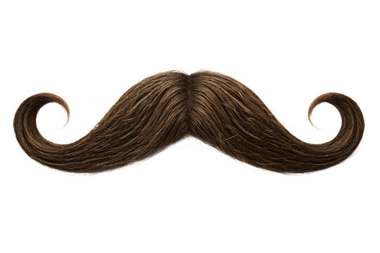 Classic Brown Handlebar Mustache