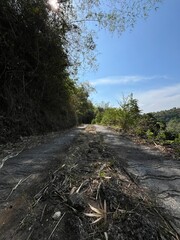 Narrow concrete path through rural forest vegetation under bright blue sky, depicting remote countryside access.