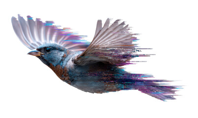 Obraz premium Bird in Mid-Flight with Stretched Visual Effects and Color Rips Isolate on Transparent Background, cutout, png