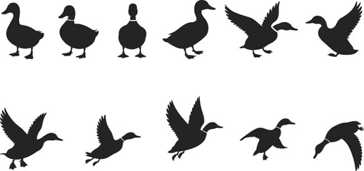 Duck silhouettes in various poses, flying, standing, walking — vector icons for wildlife, nature, design, and illustration projects