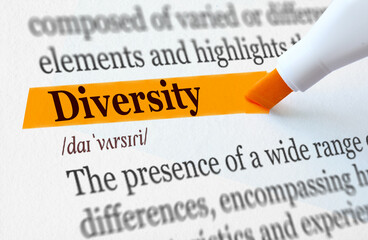 the definition of the word DIVERSITY highlighted in orange