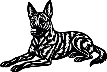 Dutch Shepherd Dog Illustration in Laying Pose