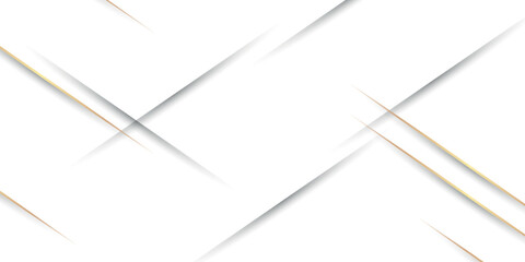 Luxurious white abstract background with elegant and shiny gold lines and shadows. Premium vector illustration.