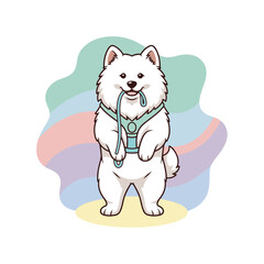Obraz premium Cute Samoyed dog standing and holding a leash in its mouth 