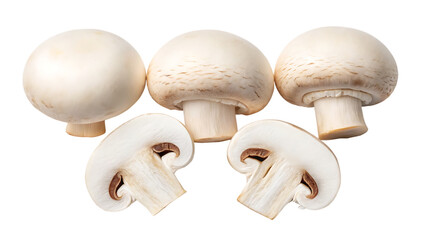 Fresh champignon mushroom isolated on transparent background, a culinary ingredient for gourmet dishes and healthy eating isolated on transparent background