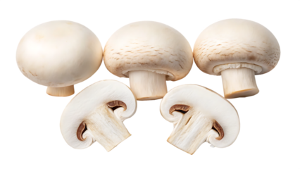 Fresh champignon mushroom isolated on transparent background, a culinary ingredient for gourmet dishes and healthy eating isolated on transparent background