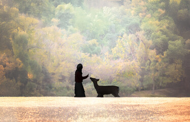紅葉の奈良公園の鹿、女性の影と太陽の光が美しい
