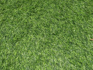 Synthetic grass for background pattern
