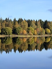 Fototapeta premium Scenic autumn lake with forest reflection in Finland 