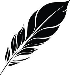 Obraz premium flowing feather pattern line art on transparent background