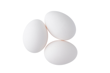 透明背景（png）に3個の卵
