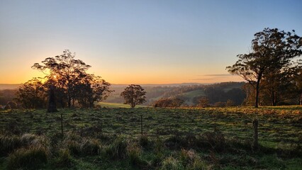 Werrikimbe National Park in New South Wales, Australia